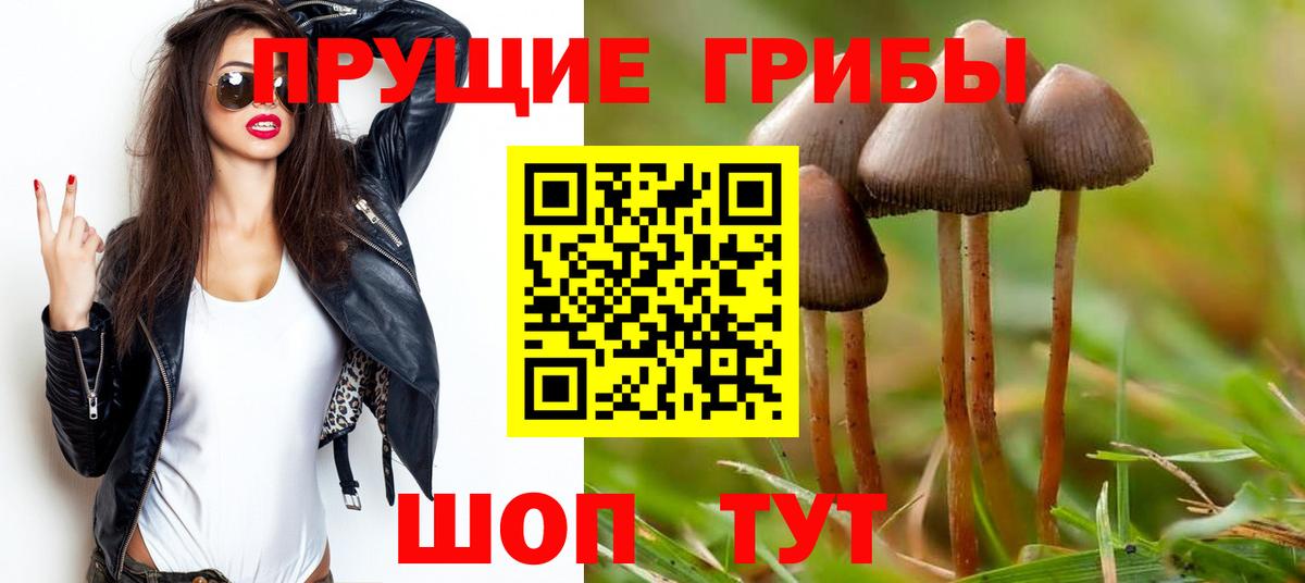 даркнет сайт  Псилоцибиновые грибы ЛСД  Вход с VPN  Псилоцибиновые грибы MAGIC MUSHROOMS  Россия 
